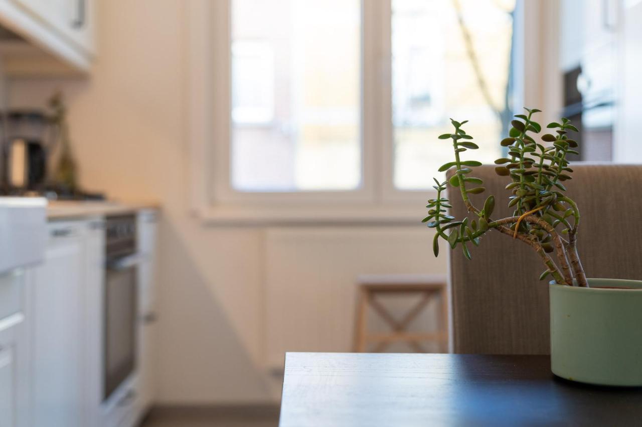Large Room In House W Shared Kitchen & Bathroom W Free Parking Bluecard 安特卫普 外观 照片